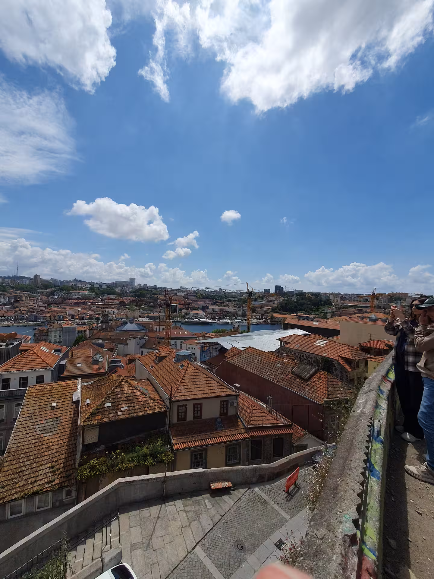 Scenic view over Porto's rooftops and Douro River, capturing the essence of Portugal's historic cityscape.