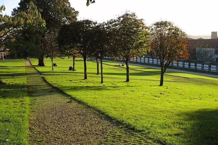 Sunny green park with trees and walking path, relaxing stop on Porto to Santiago de Compostela day trip