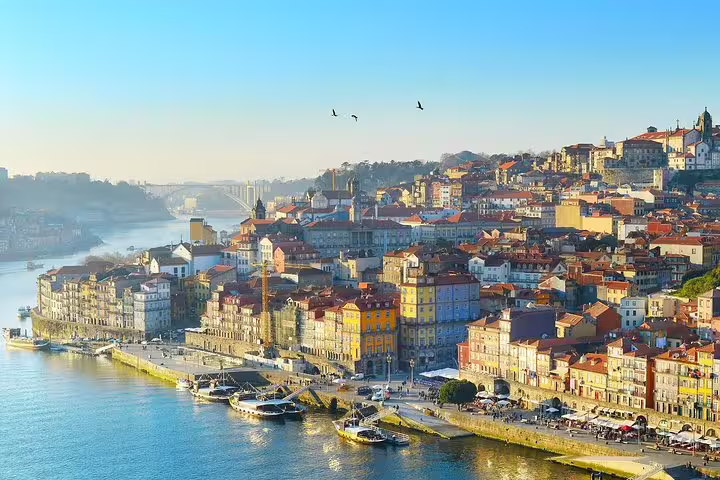 Aerial view of Porto's vibrant waterfront and historic architecture during a private tour from Lisbon, highlighting scenic beauty.