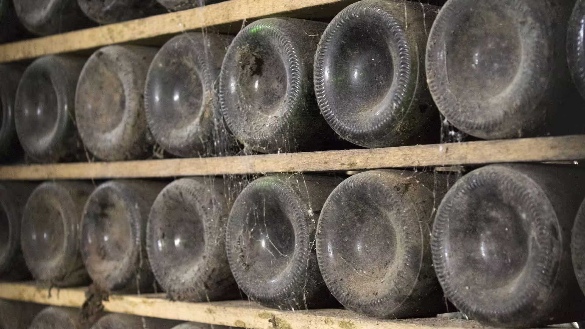 Discover aged wine bottles in Porto's historic cellars on a private city tour, ideal for wine lovers.