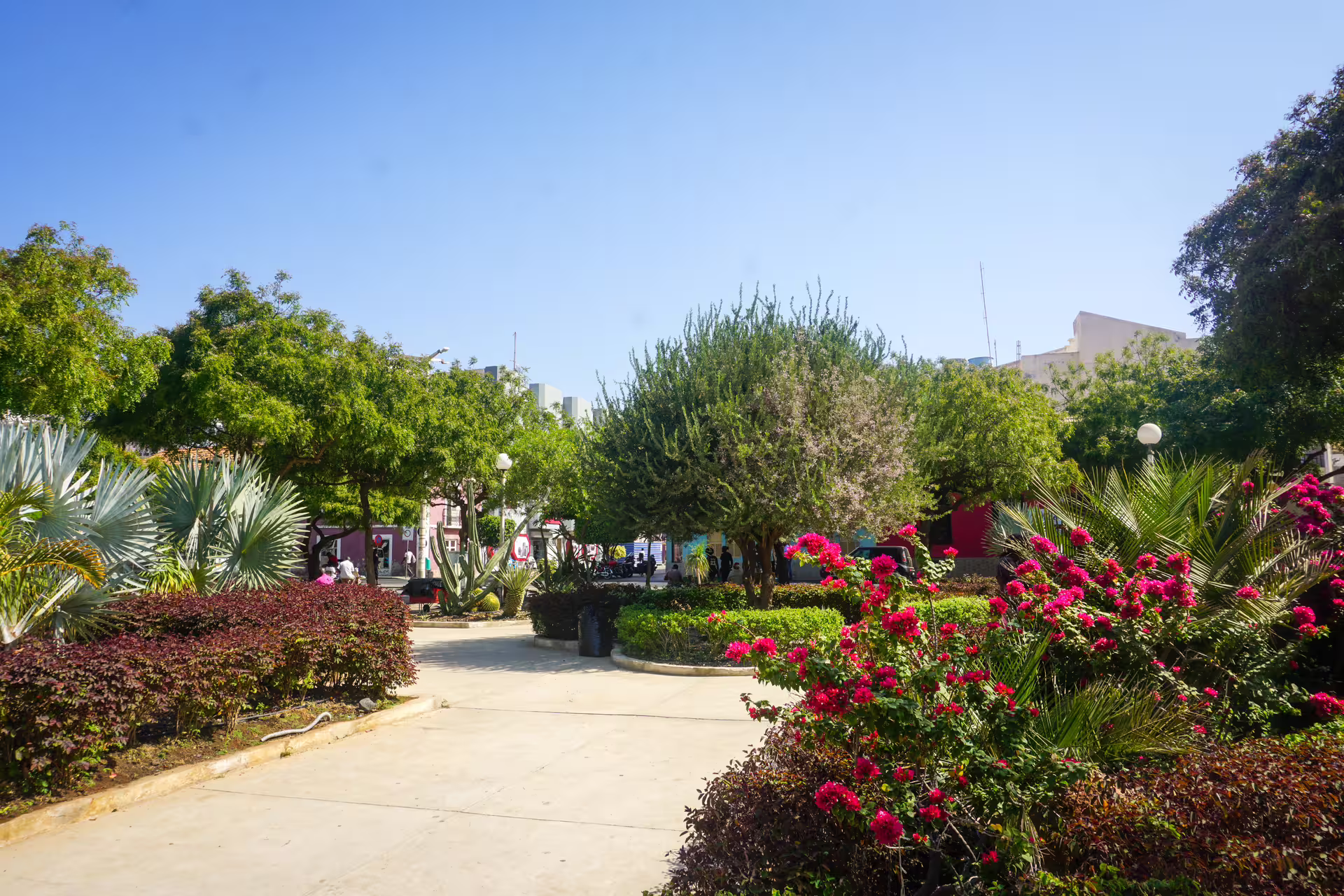 Scenic park in Praia with lush greenery and flowers, ideal for a relaxing stop on a guided city tour.