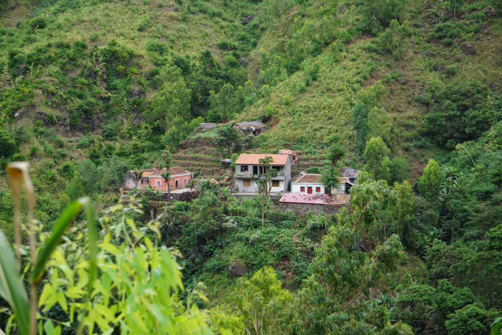 Scenic view of a lush green valley with charming houses nestled amid the hills in Principal Valley, Cape Verde.