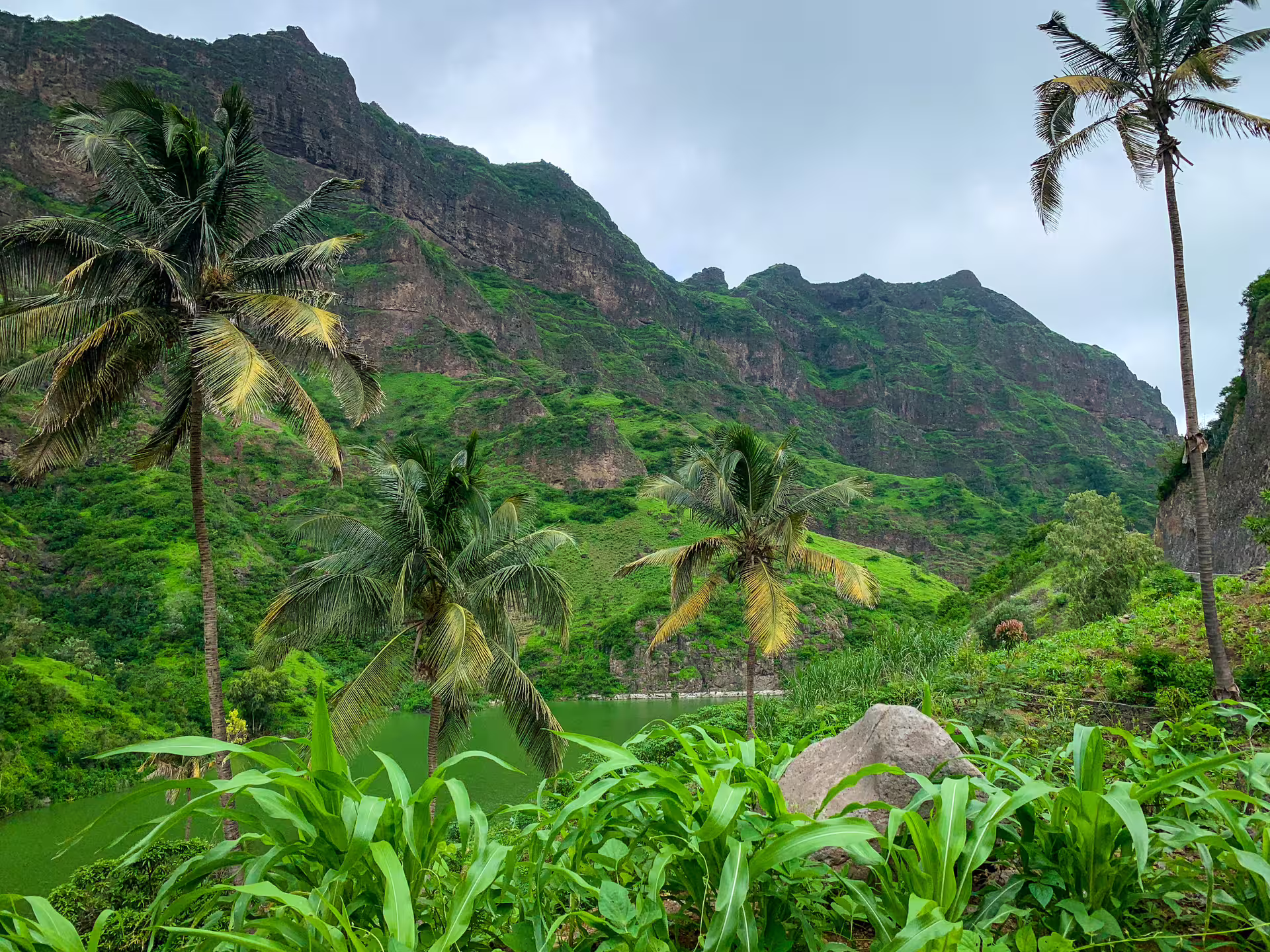 Scenic view of Principal Valley with lush palm trees and towering green mountains under a cloudy sky.