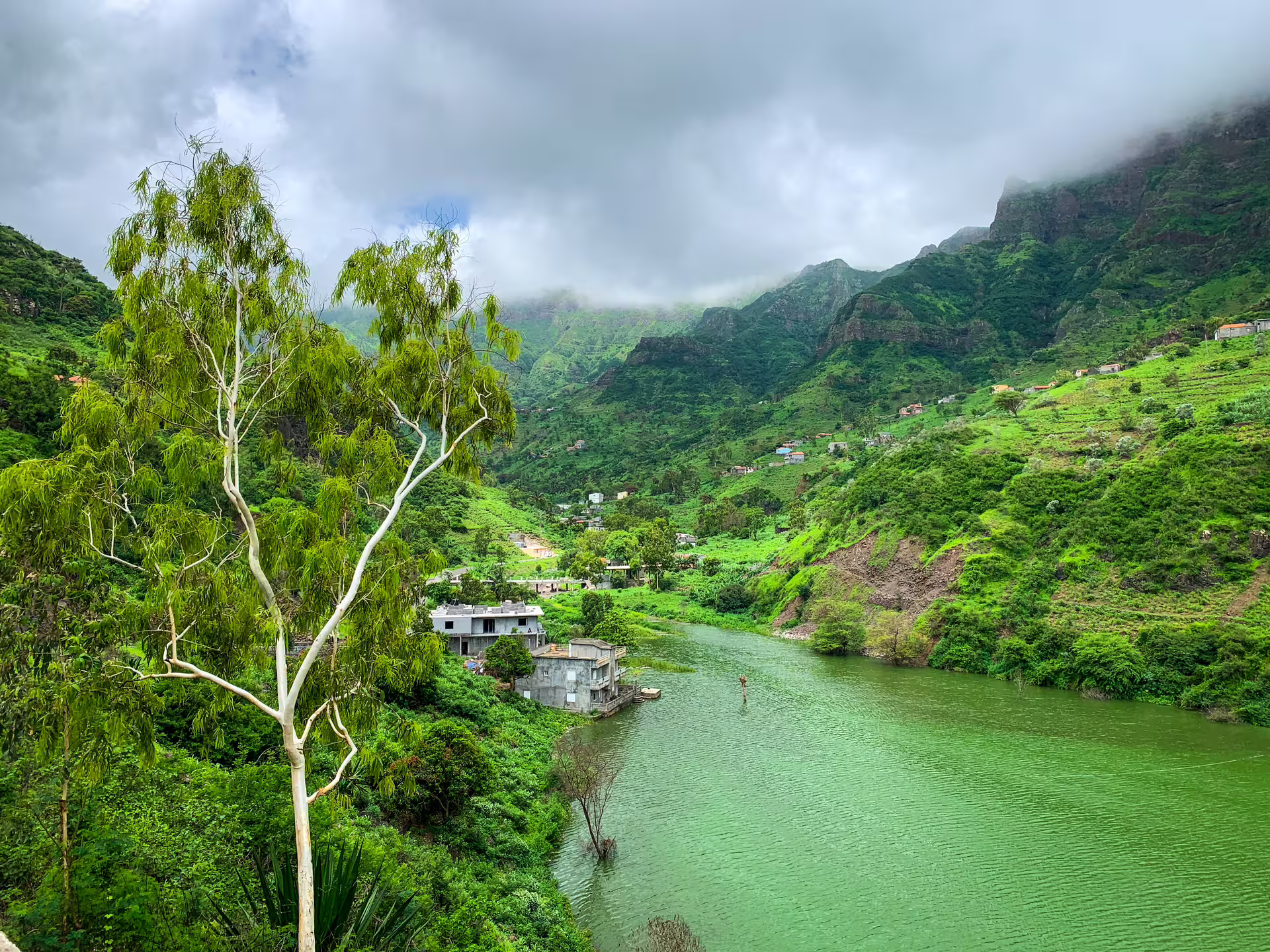Vibrant greenery and tranquil river in Principal Valley, Cape Verde, offering an immersive hiking experience.