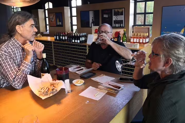 Travelers tasting Greek wine at a cozy bar, included in a private 2-hour Athens sightseeing experience