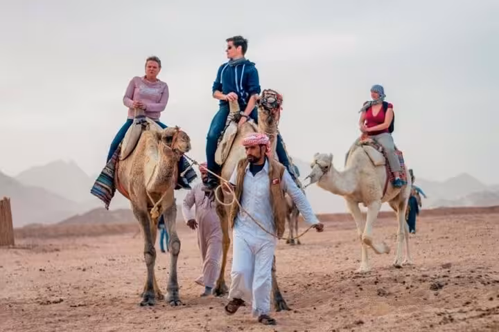 Guided camel trek in Sinai Desert near Sharm El Sheikh, included with private ATV quad safari, Bedouin dinner and stargazing