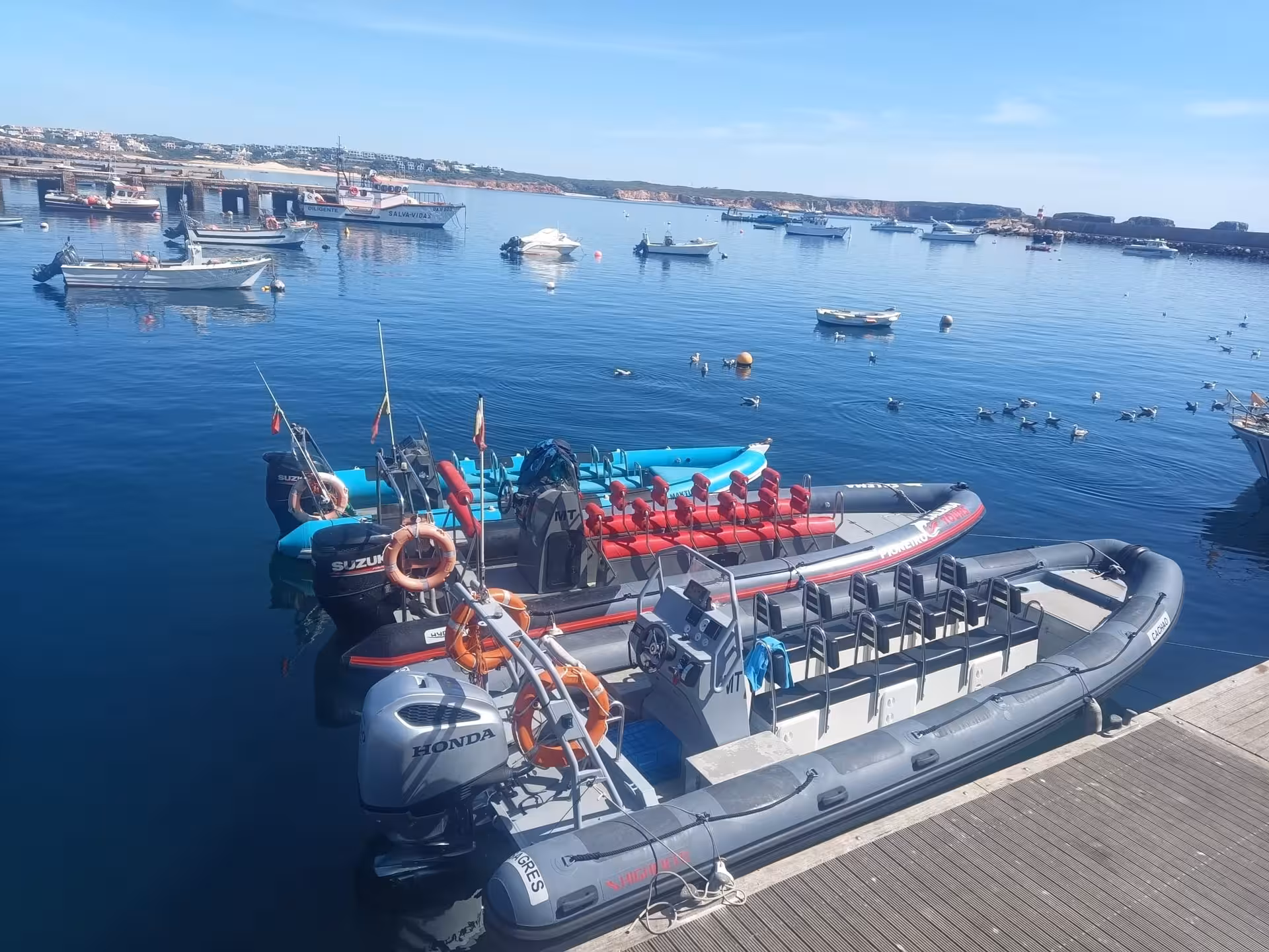 Modern motorboats docked at a scenic marina, ready for private group rental and coastal exploration adventures.
