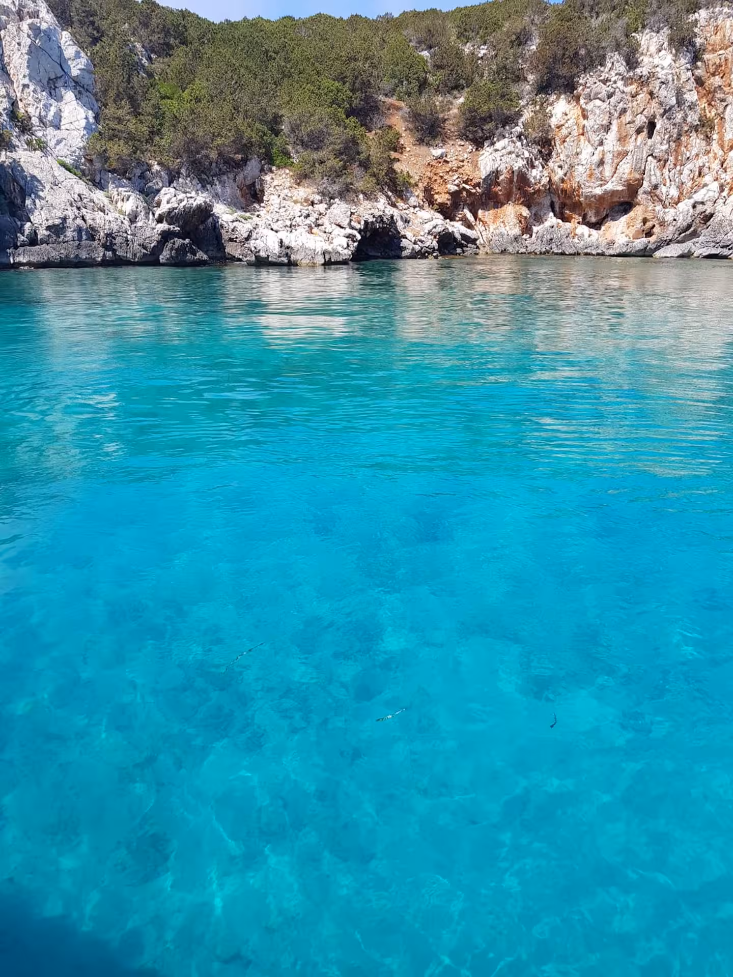 Turquoise waters and rugged cliffs in the pristine Gulf of Alghero, perfect for a private boat tour.