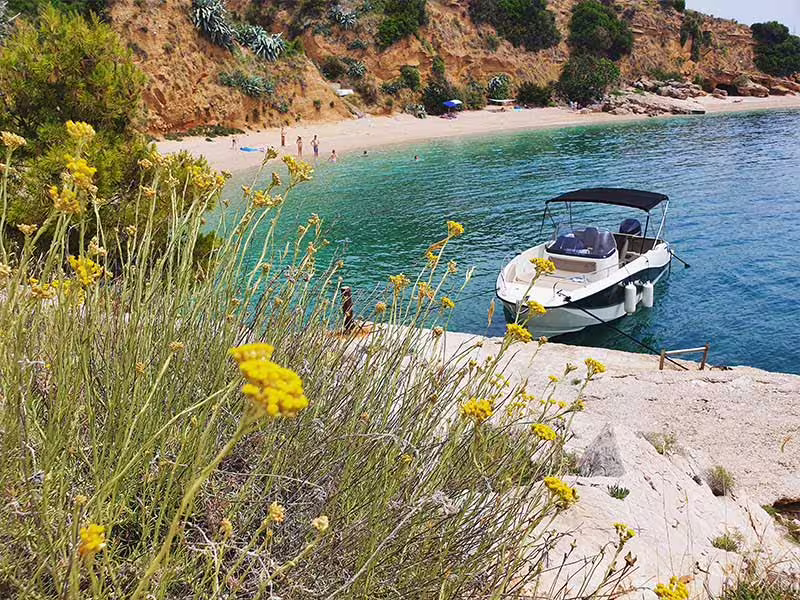 Private boat tour stop at a secluded Adriatic beach near Hvar with crystal-clear water and moored speedboat