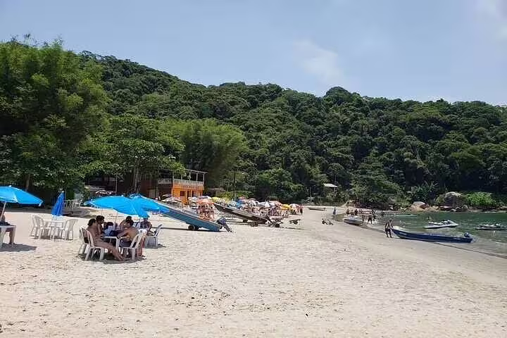 Scenic beachside view in Santos with lush greenery, ideal for relaxing during a private boat tour.