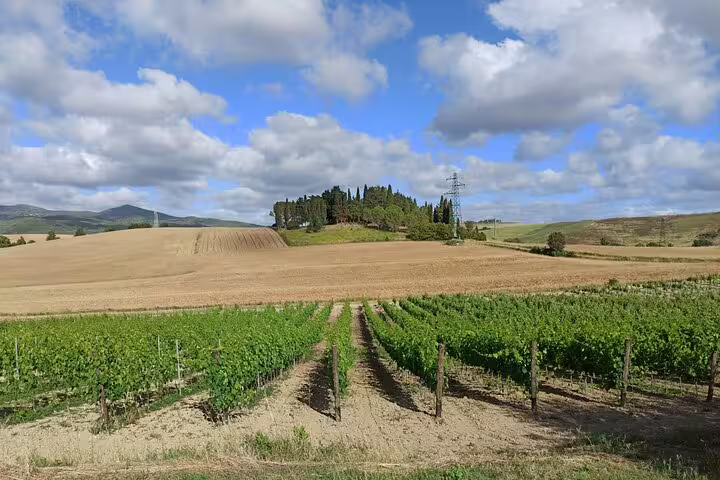 Private Chianti tour through rolling vineyards and wheat fields under a bright Tuscan sky, ideal for wine tasting day trips