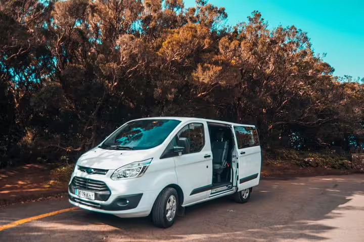 Comfortable white van ready for a private excursion for cruise passengers, set against lush greenery and clear skies.
