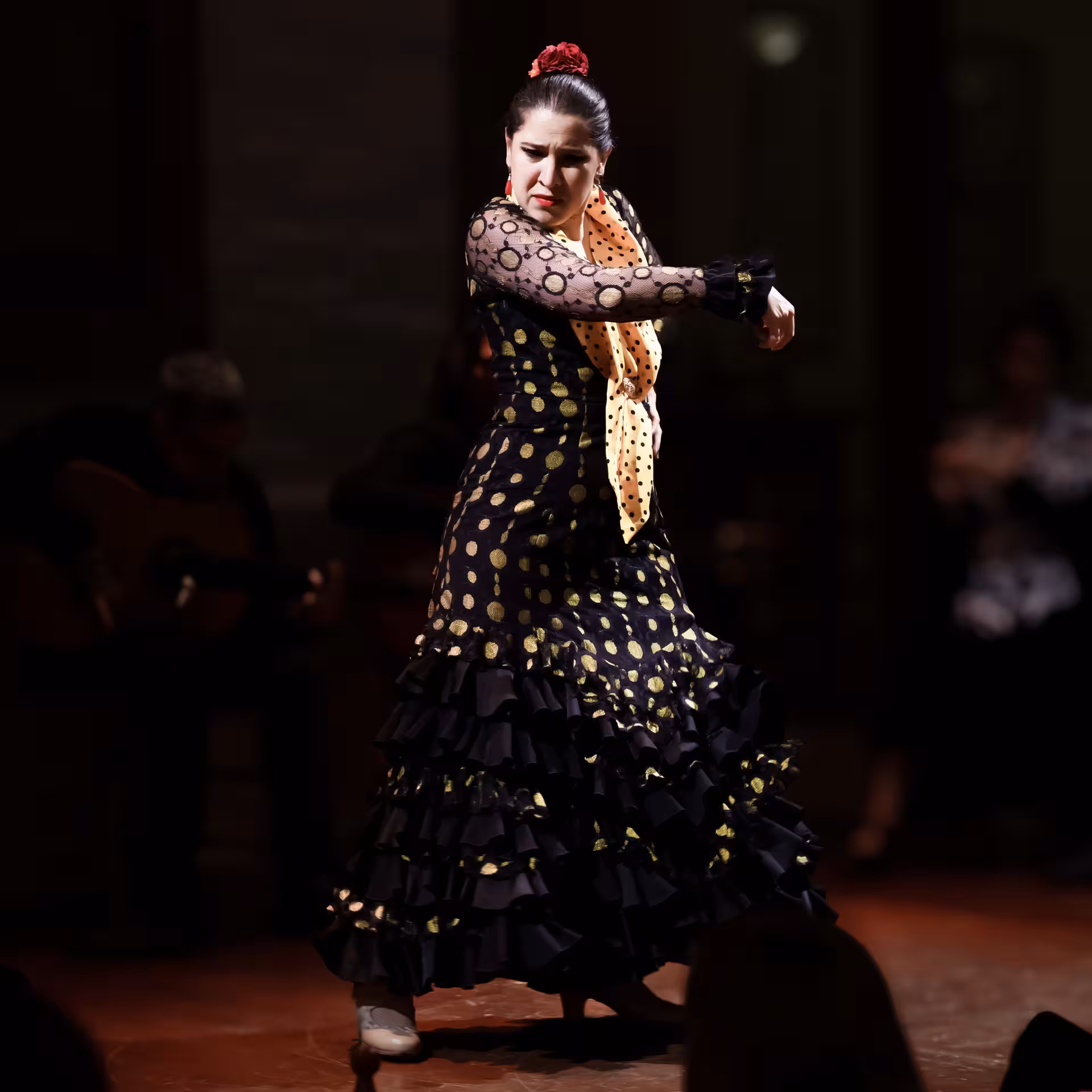Flamenco dancer in dynamic pose during a private show, highlighting the intensity and grace of Spanish dance.