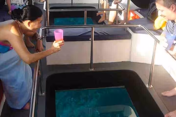 Guests looking through viewing windows on private glass bottom boat from Hurghada, spotting Red Sea marine life