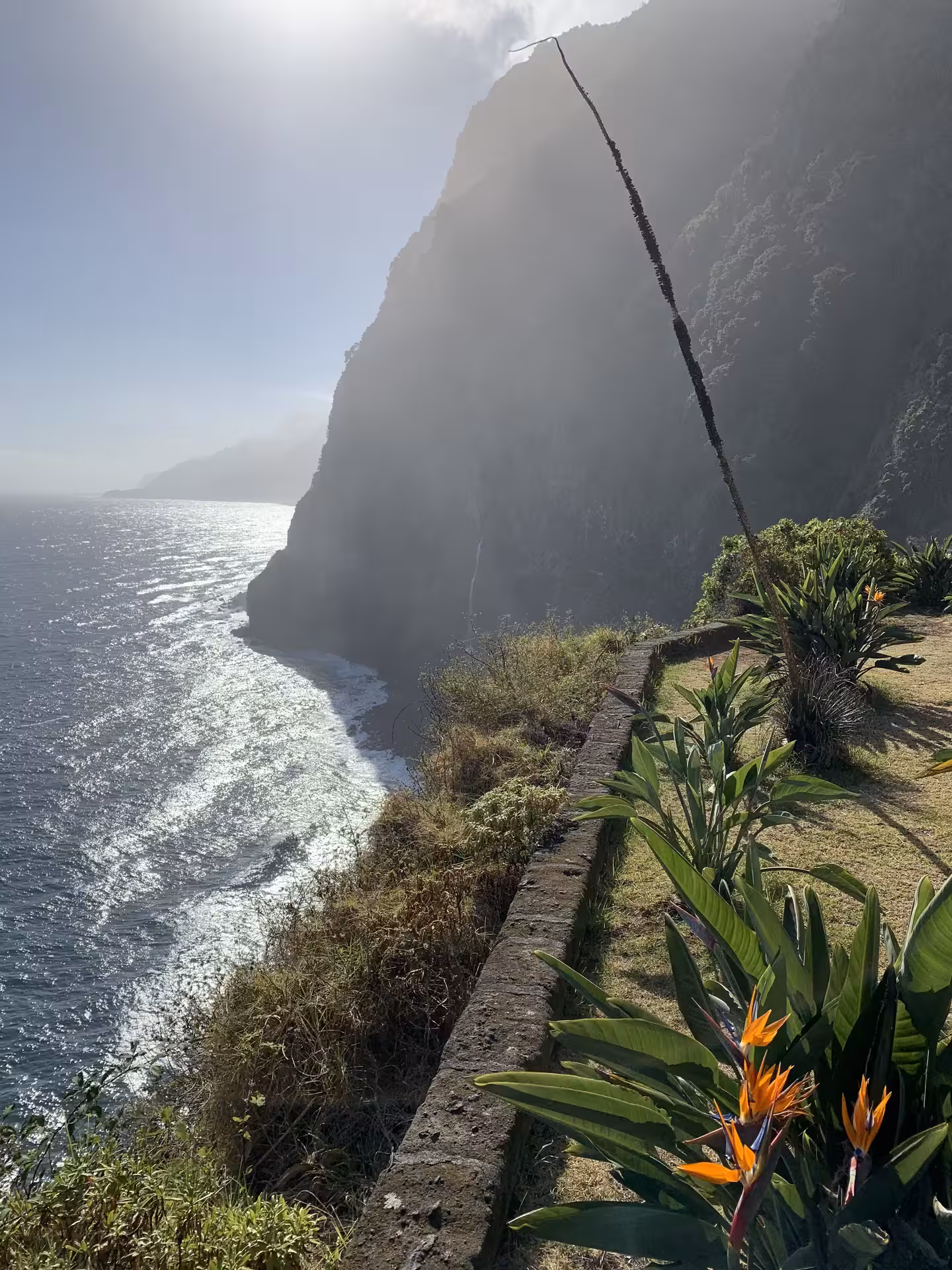 Scenic coastal view with vibrant bird of paradise flowers, lush cliffs, and ocean waves perfect for private group tours.