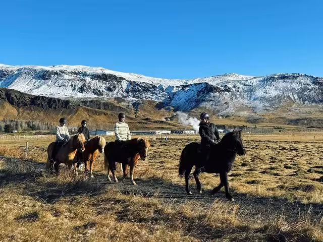 Riders on Icelandic horses crossing open fields with snowy mountains on a 1-hour private horseback riding tour