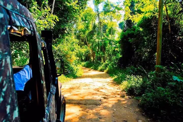 Explore lush trails on a private jeep tour through the vibrant forests of Paraty, offering an adventurous escape.