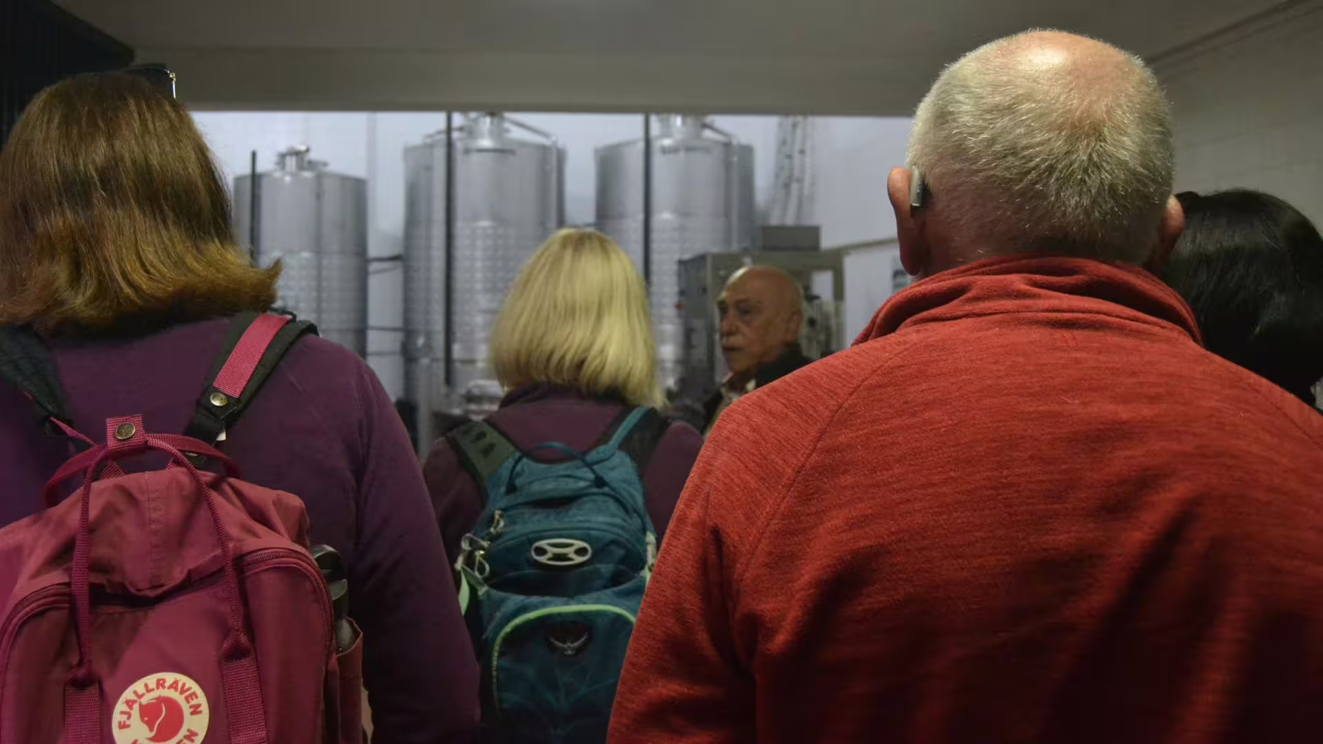 Image of a visit to a Vinho Verde production area