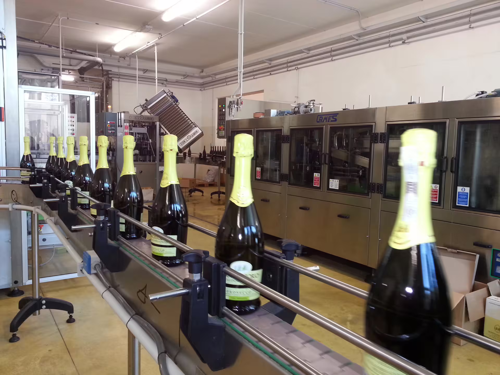 Prosecco bottles move along a bottling line in a modern winery facility during a countryside tour.