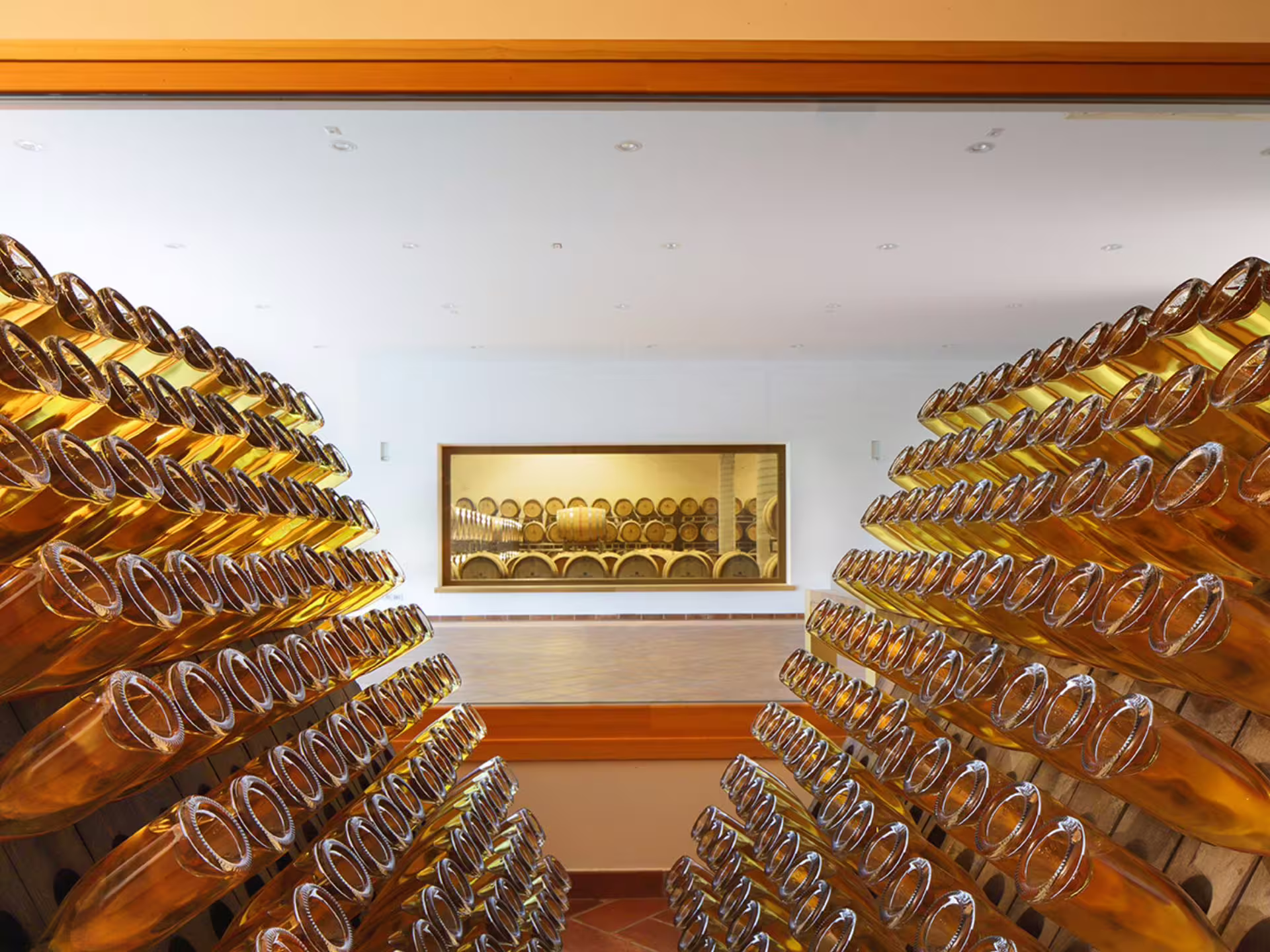 Prosecco bottles aging in a bright Venetian winery cellar, showcasing the traditional wine-making process.