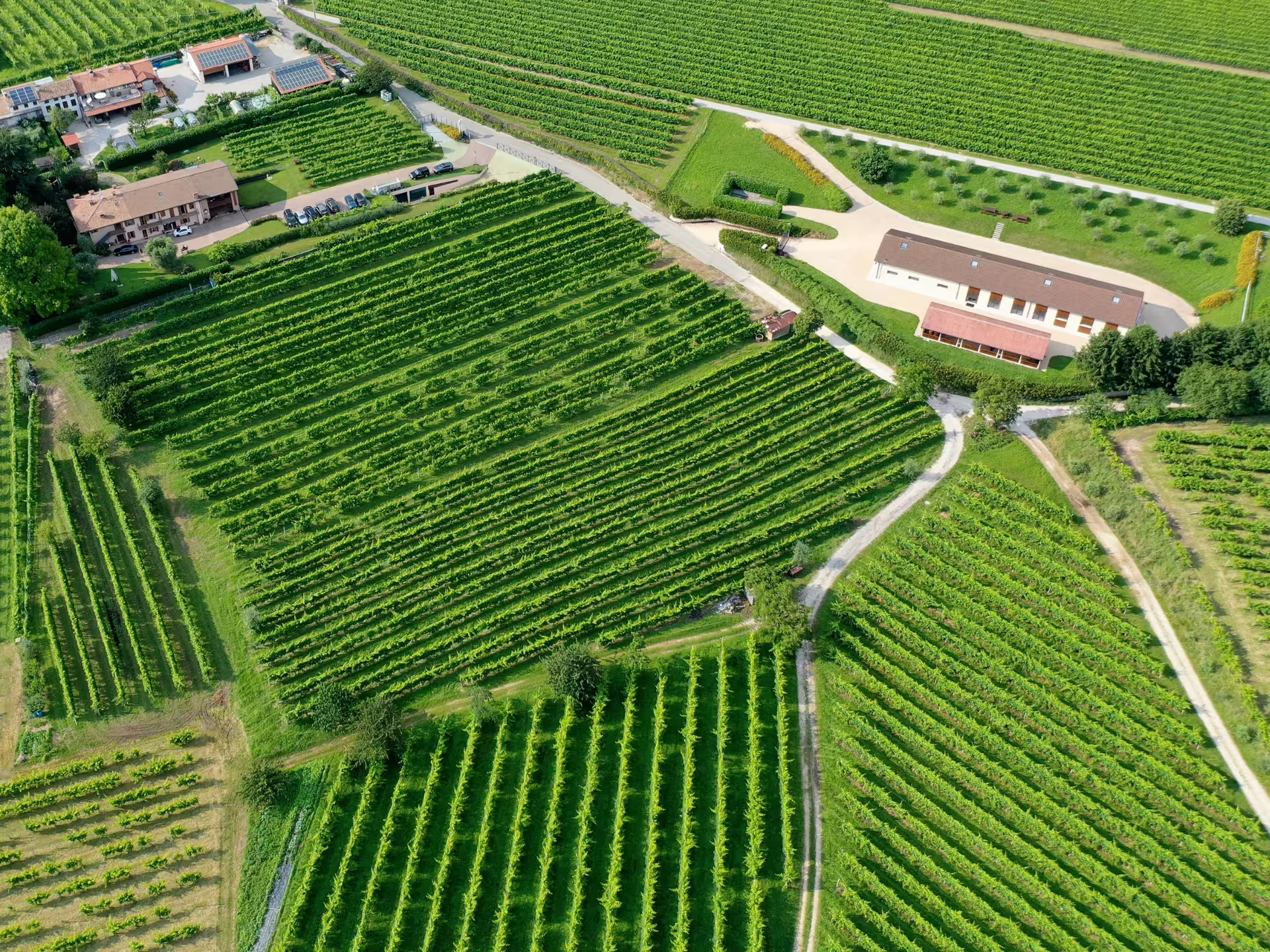 Aerial view of lush vineyard landscape at countryside winery for Prosecco tasting tour booking experience.