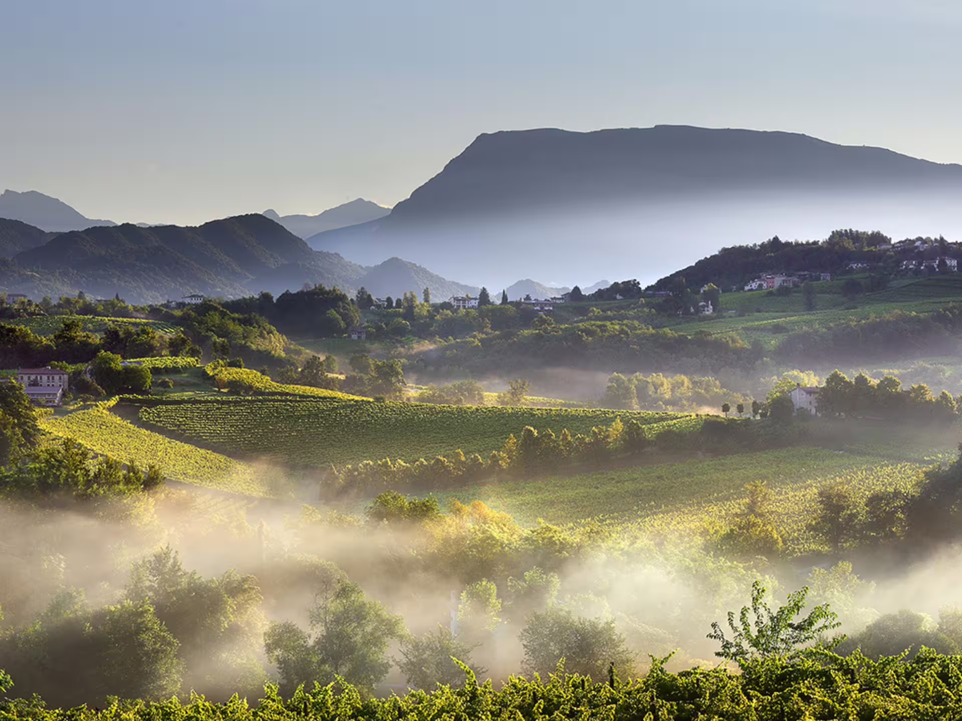 Scenic view of misty vineyards and rolling hills near Venice, highlighting the beauty of Prosecco wine country.