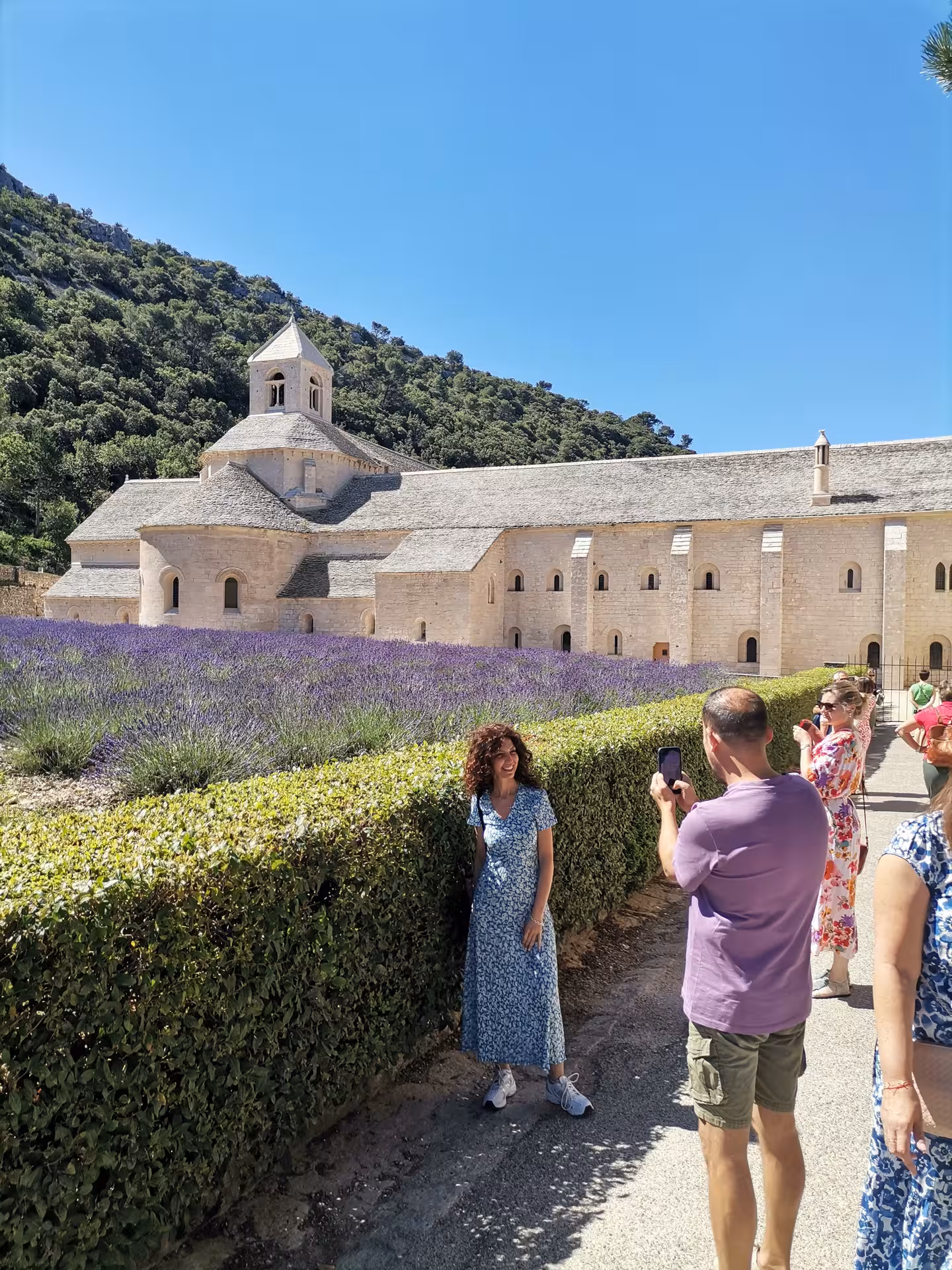 Guests taking photos by Sénanque Abbey lavender rows on a Provençal Picnic Tour from Avignon