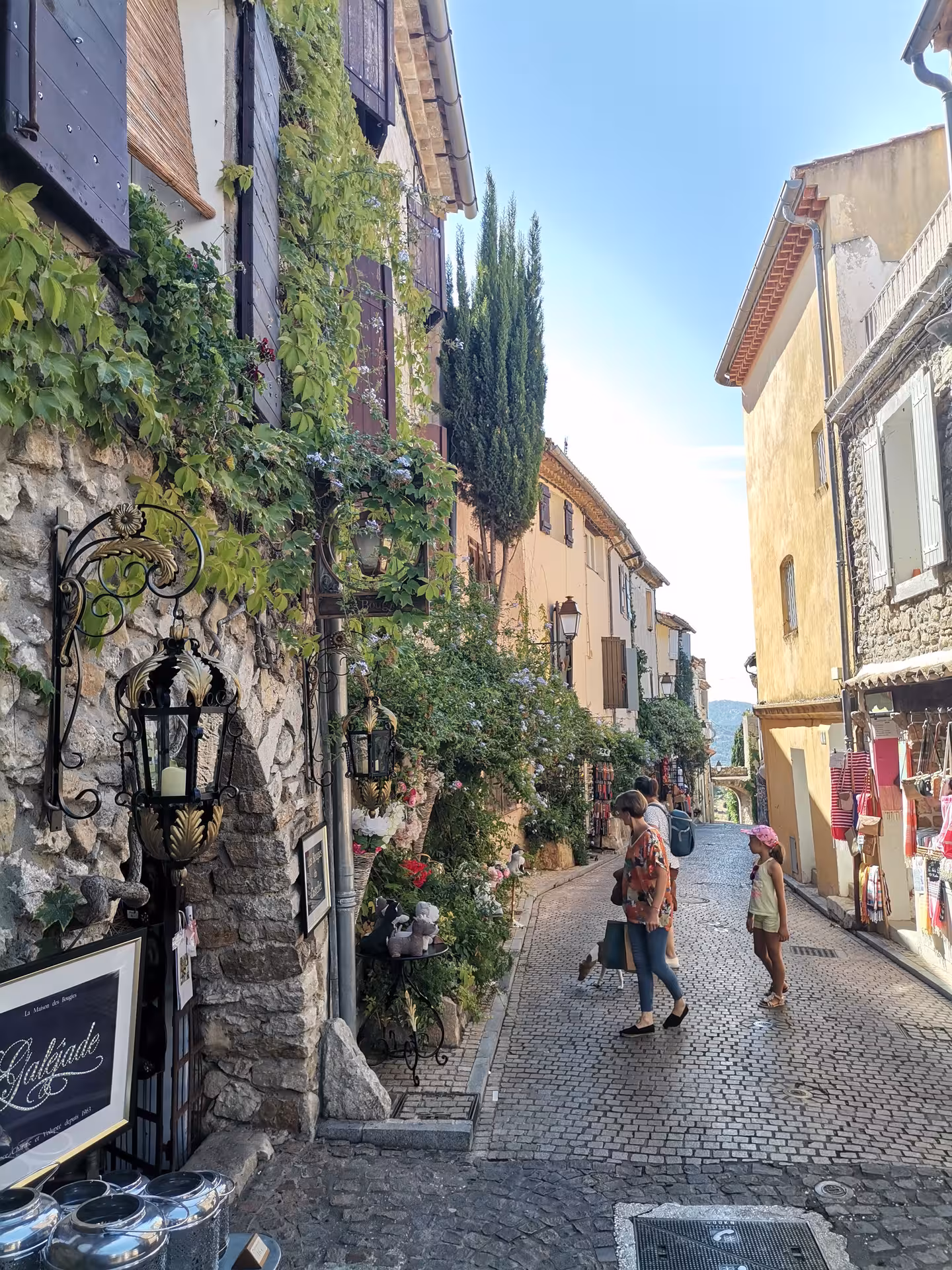 Cobbled Provençal village lane with ivy-covered stone houses, perfect stop on a Provençal picnic tour