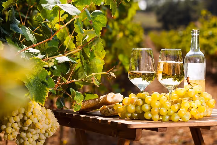 Two glasses of white wine with green grapes and baguette on a wooden table in a sunny Provençal vineyard