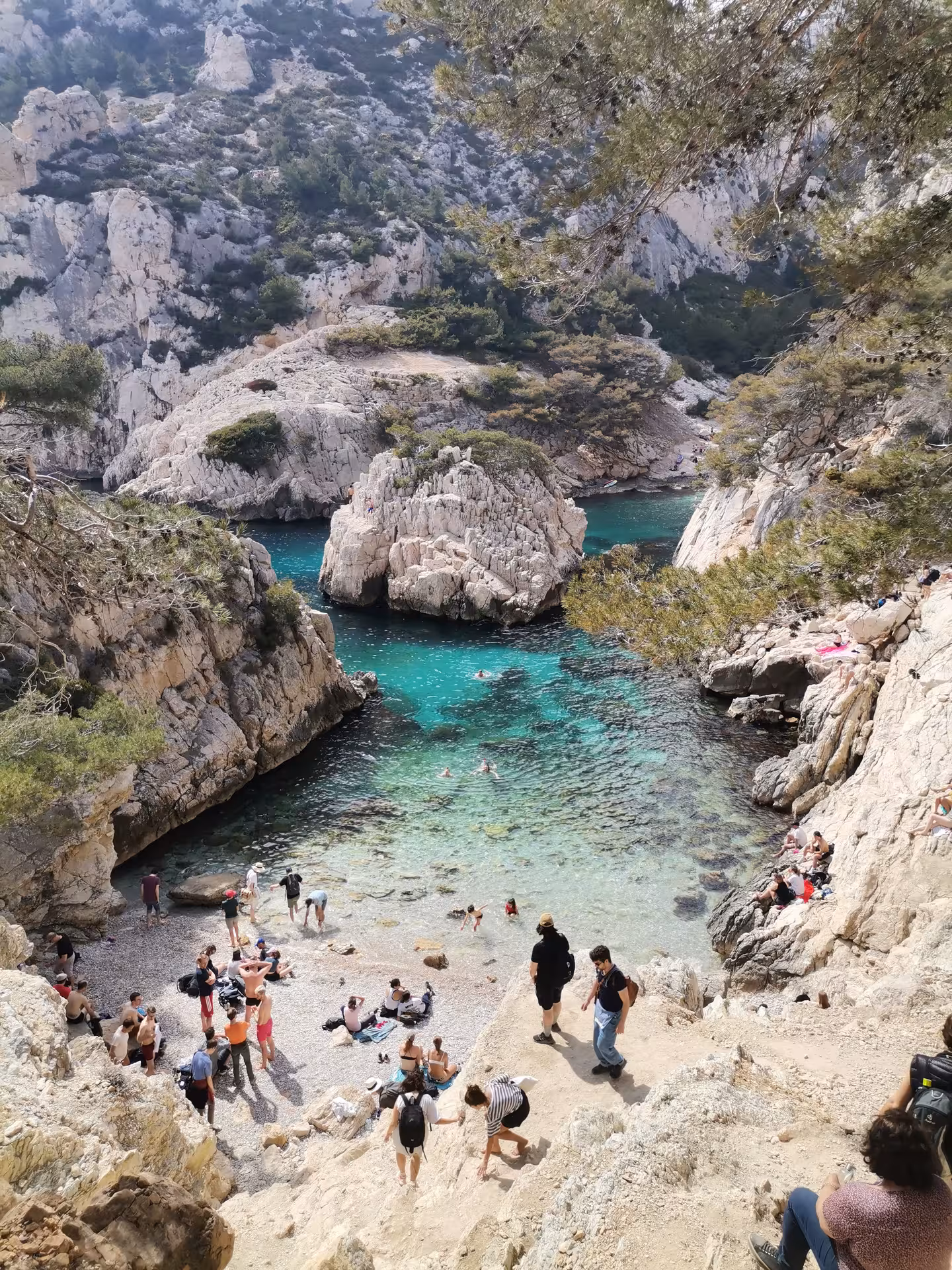 Calanque coastal hike near Marseille with turquoise cove and limestone cliffs, scenic stop on 14-day Provence tour