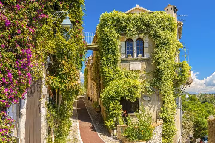 Ivy-covered stone building along a narrow cobblestone lane with pink bougainvillea in Provence, France