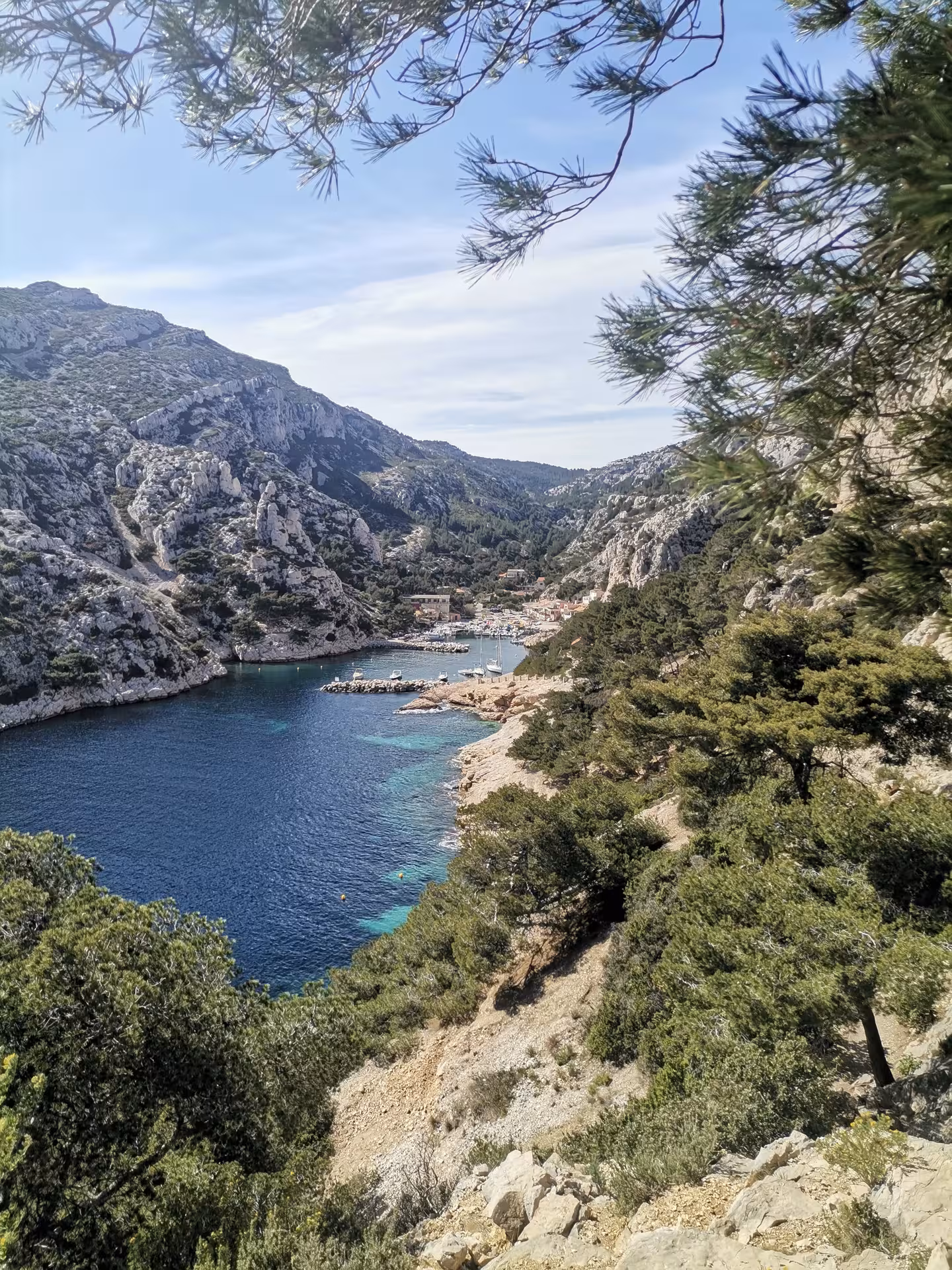 Overlook of a Calanques inlet and pine-covered cliffs, Provence hiking getaway blending nature and culture