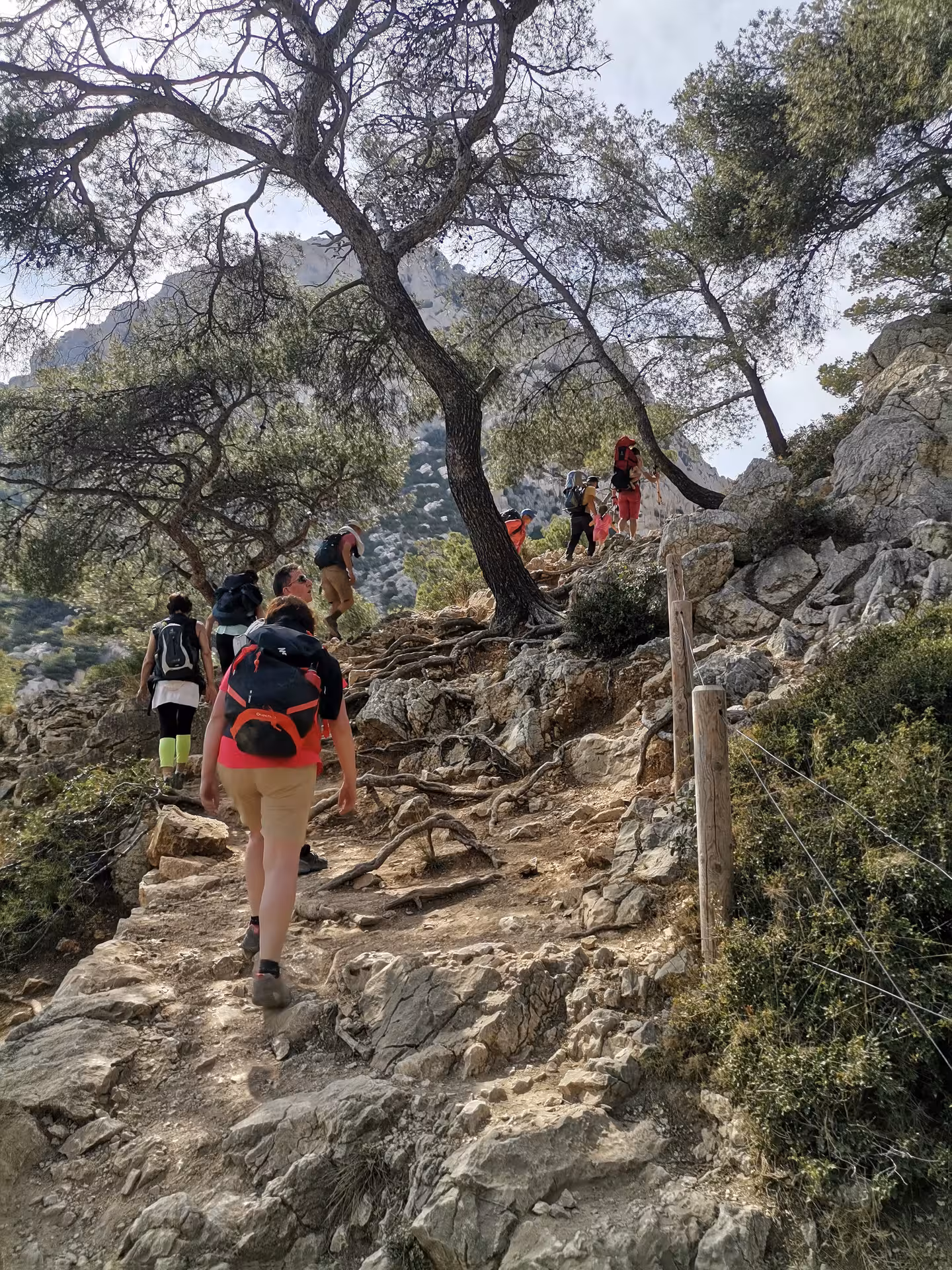 Hikers climbing a rocky pine-lined trail in the Calanques, part of a 7-day Provence hiking getaway itinerary