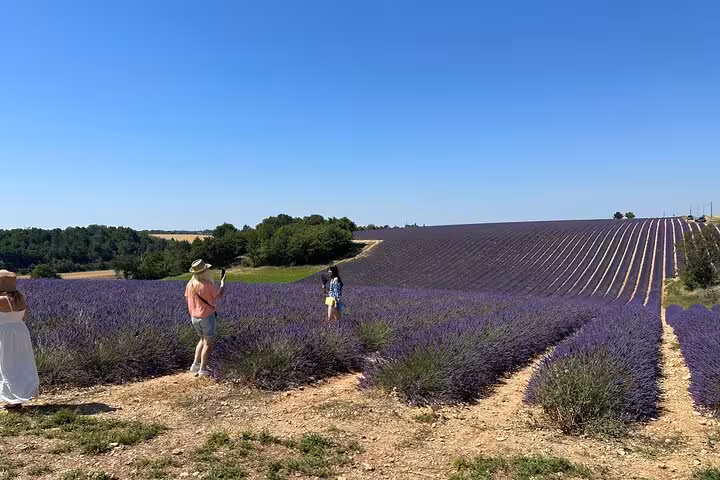 Travelers photographing Provence lavender fields, a highlight of a private full-day Provence lavender tour