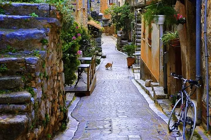 Narrow cobblestone alley with stone walls, lush greenery, a dog, and a bicycle in a Provence medieval village