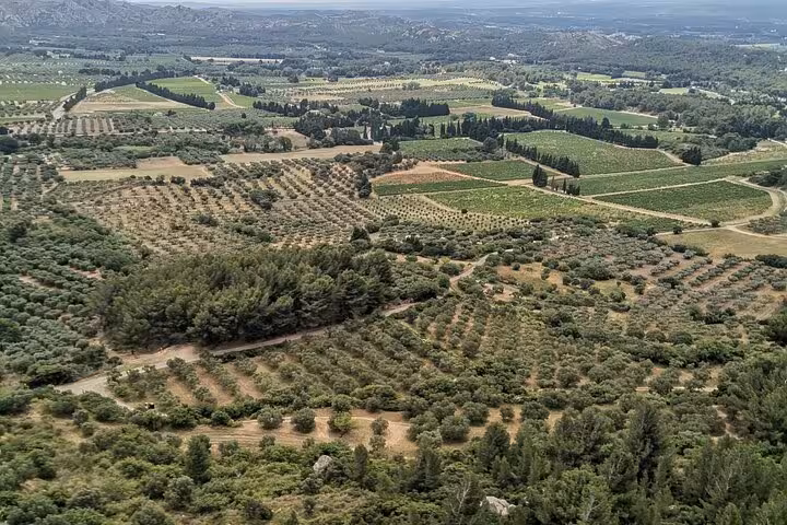 Scenic Provence countryside of vineyards and olive groves, ideal for private vehicle with driver day tour