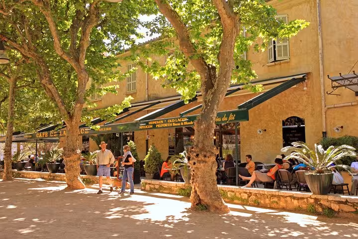 Charming sunlit café terrace shaded by plane trees in a picturesque Provence village square France