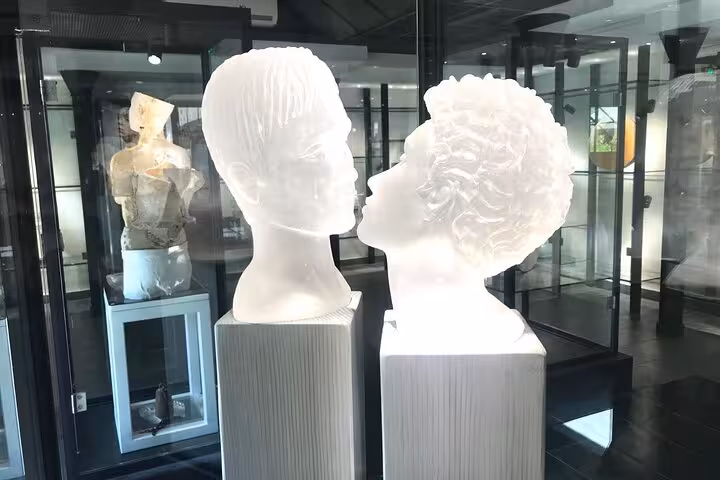 Intricate white sculptures in a modern Provence art gallery showcasing local craftsmanship and creativity.