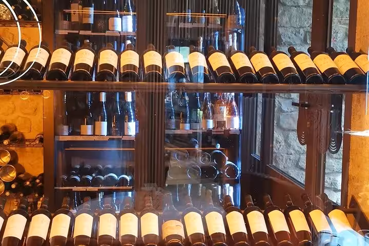 Wine cellar display of Provence bottles at La Gaude, part of Château La Coste and La Gaude tasting tour