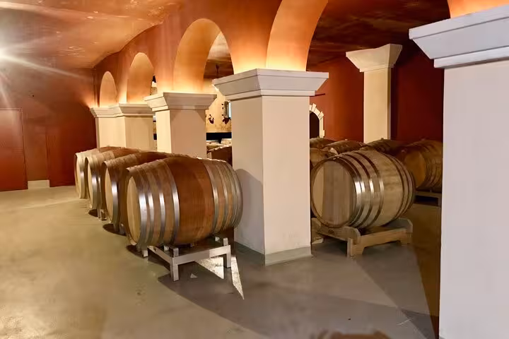 Wine cellar interior in Provence featuring rows of wooden barrels under warm, inviting arches.