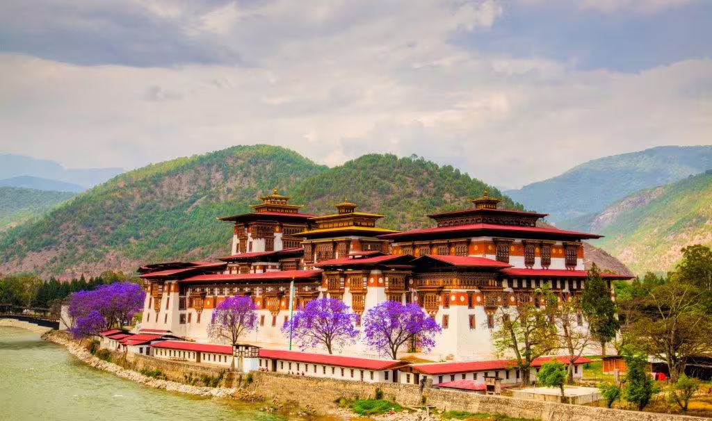 Punakha Dzong in Bhutan with vibrant jacaranda trees and mountainous backdrop, ideal for cultural tour exploration.