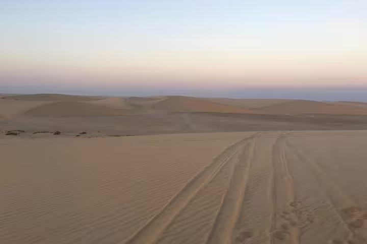 Expansive desert dunes in Qatar at sunrise, showcasing tracks from an unforgettable safari adventure.