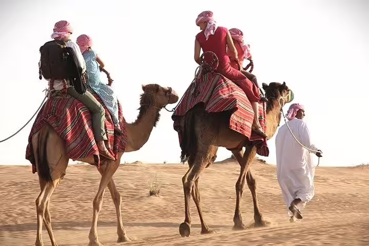 Golden Dunes Qatar Safari: Sunset Adventure & Thrilling Dune Bashing.