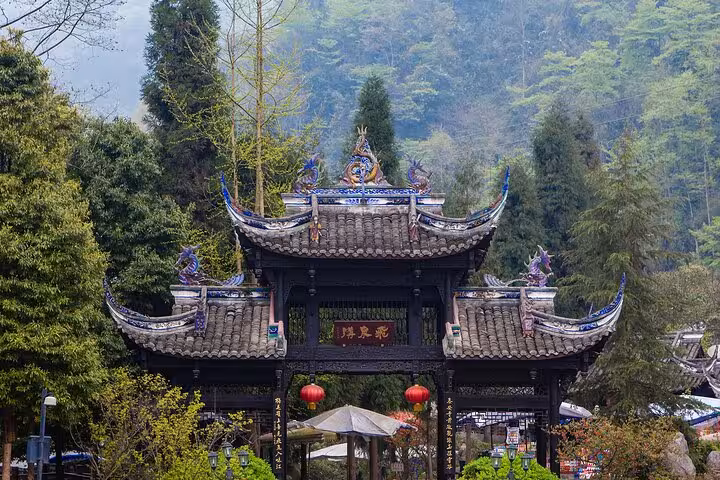 Traditional Chinese gate surrounded by verdant forest at Qingcheng Mountain entrance.