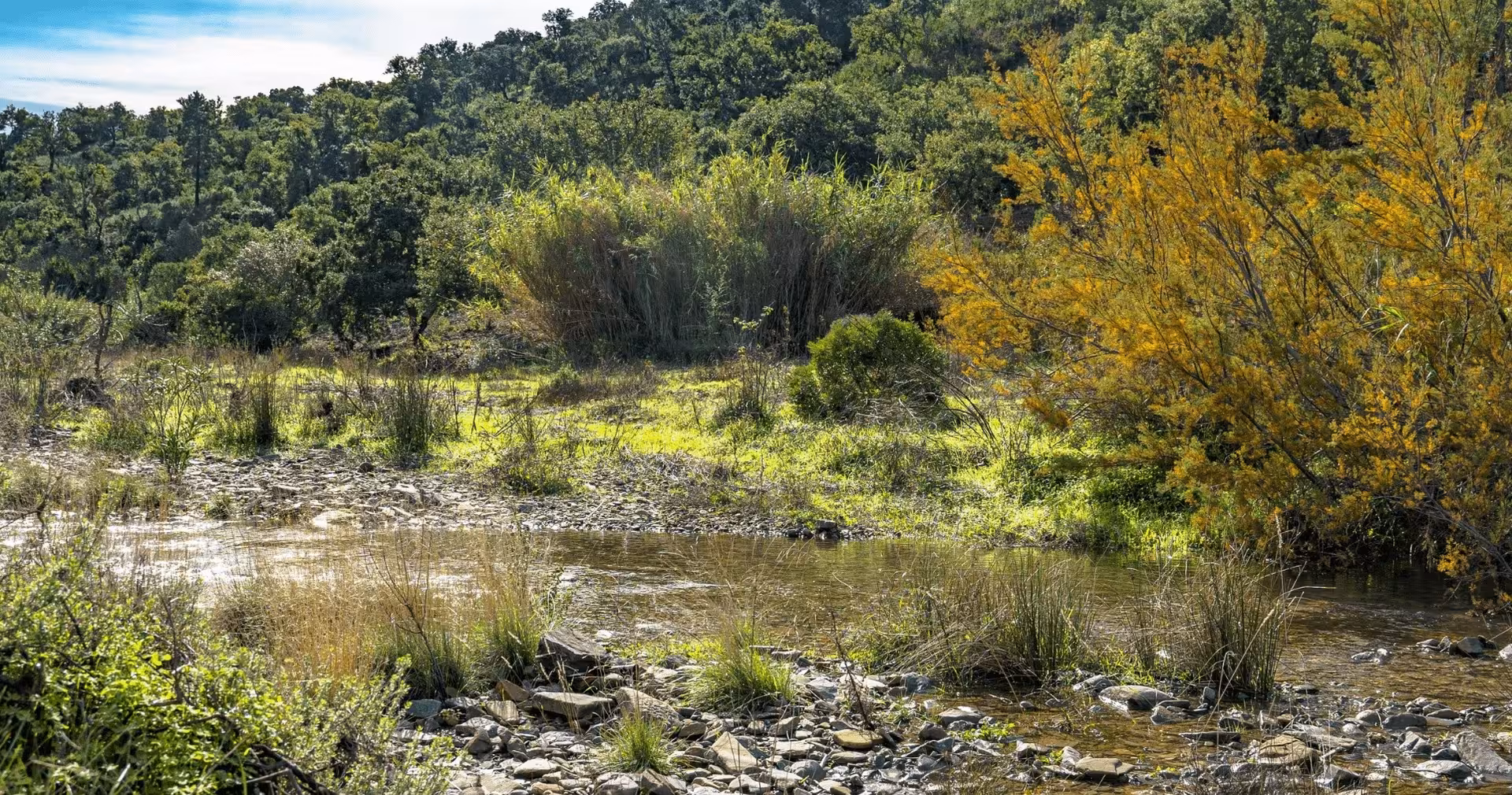 Shallow stream crossing a lush green valley with wild shrubs and trees along the Full Day Quad Tour off-road route.