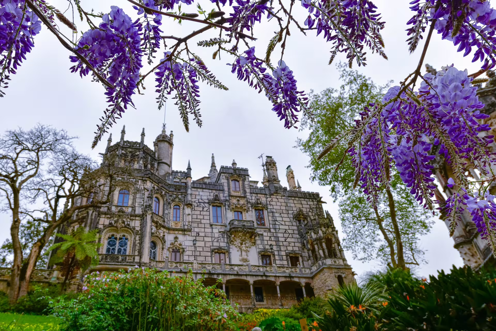 Quinta da Regaleira palace framed by vibrant purple wisteria blossoms in Sintra, Portugal.