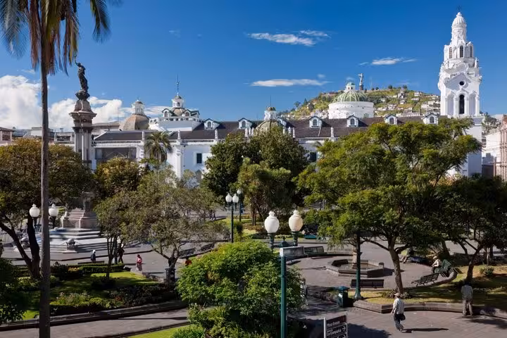 Plaza Grande in Quito's historic center with colonial white buildings, cathedral tower, and lush park trees