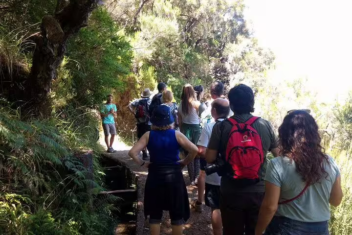 Group of hikers exploring the verdant trails of Rabaçal 25 Fonts, immersed in the natural beauty and tranquility of the area.