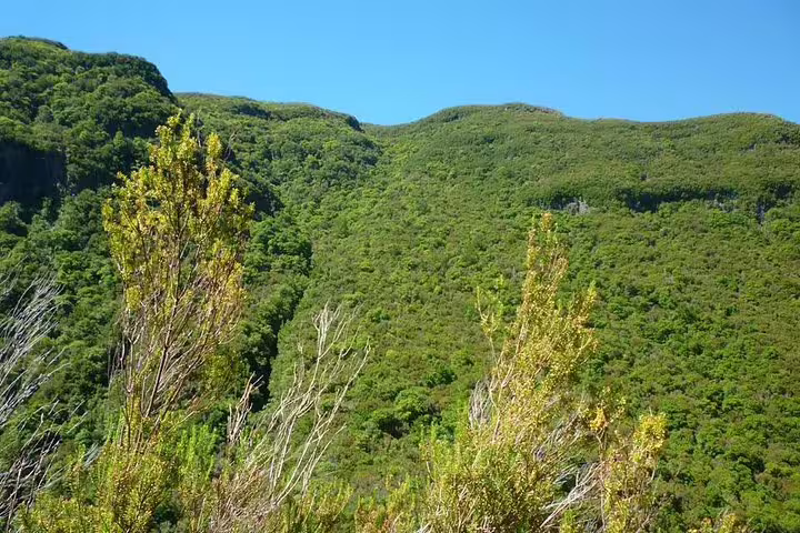 Lush green hills under a clear blue sky in Rabaçal, capturing the vibrant landscapes of Madeira's 25 Fontes hike.