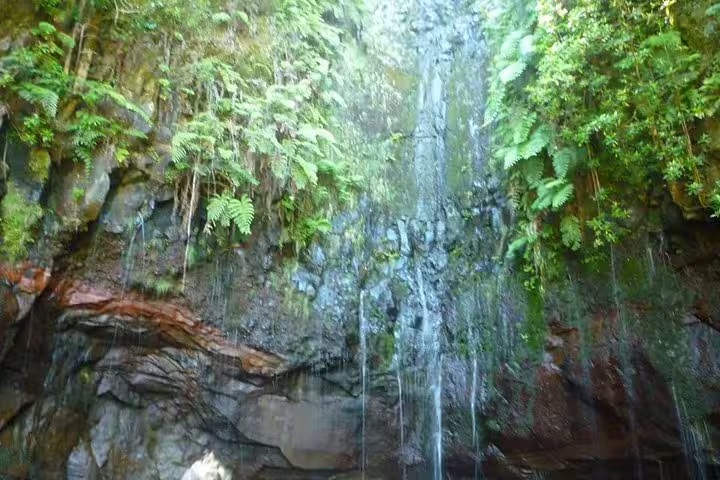 Lush green waterfall at Rabaçal 25 Fonts, showcasing cascading water amid vibrant foliage on a scenic hiking trail.